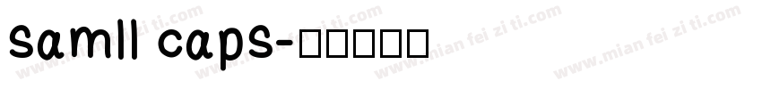 samll caps字体转换